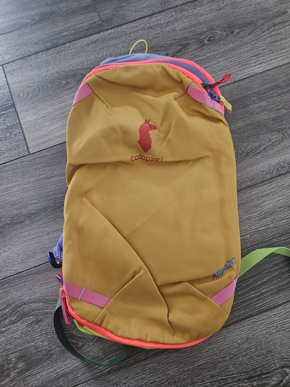 cotopaxi Allpa Daypack in mustard yellow with pink and purple accents - Picture 3 of 5